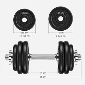 Songmics setti 2 kpl valurautaista käsipainoa 2 x 15kg painolevyt säädettävät miehille naiset harjoitus teräskahva kardioharjoittelu painonnosto Kotikeskus musta Syl30t - Image 4